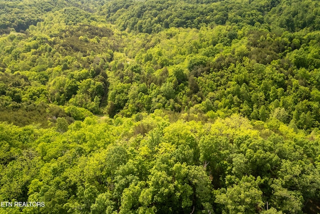 00 Henry Rd, Newport, TN 37821