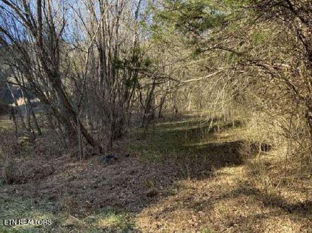 00 Henry Rd, Newport, TN 37821