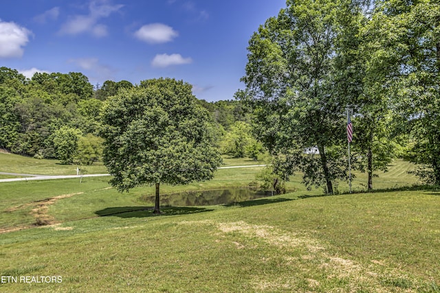 325 Correll Ridge Rd, Decatur, TN 37322 - view of green lawn