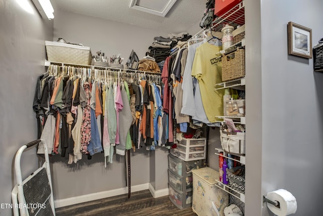 325 Correll Ridge Rd, Decatur, TN 37322 - walk in closet with wood finished floors and attic access