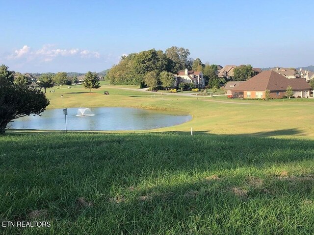 219 Osprey Cir, Vonore, TN 37885 - photo 5