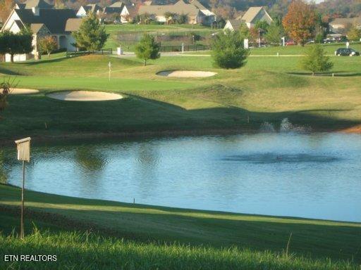 219 Osprey Cir, Vonore, TN 37885 - photo 2