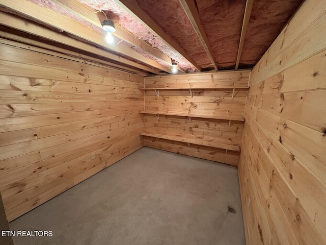 basement featuring wooden walls