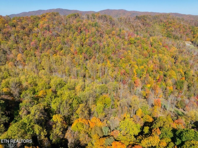 bird's eye view with a mountain view and a forest view