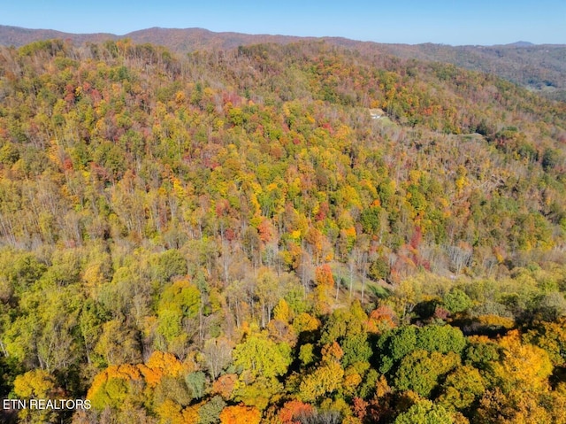 bird's eye view featuring a mountain view and a view of trees