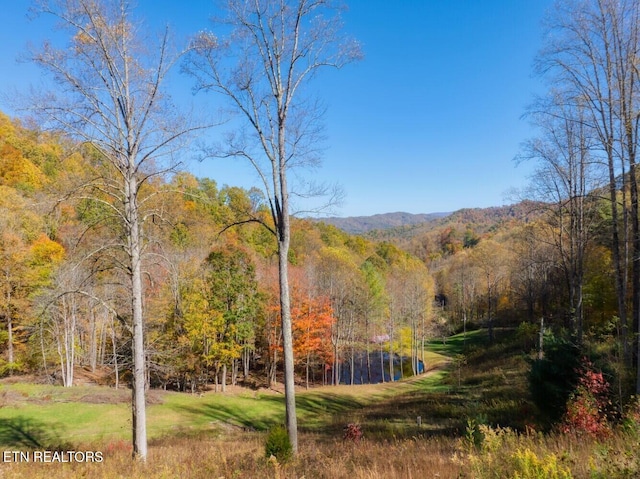 view of home's community with a lawn, a wooded view, and a mountain view