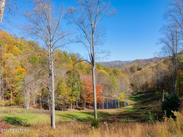 view of property's community with a lawn, a view of trees, and a water and mountain view