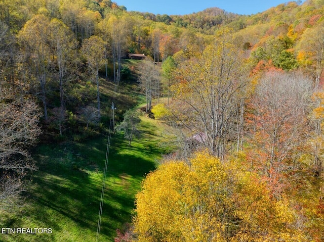 aerial view with a forest view