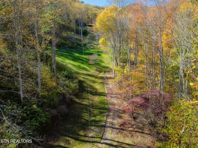 view of nature featuring a view of trees