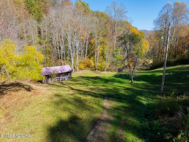 view of yard featuring an outbuilding and a wooded view