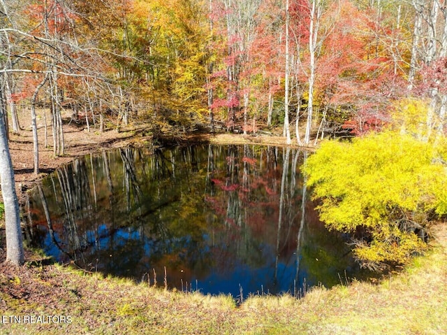 water view with a wooded view