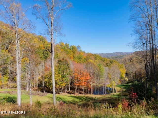 surrounding community featuring a water and mountain view and a view of trees