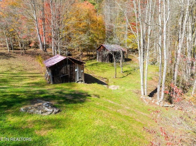 view of yard with an outbuilding and a storage shed