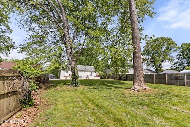 view of yard featuring a fenced backyard