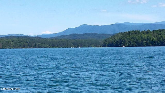 771 Rarity Bay Pkwy, Vonore, TN 37885