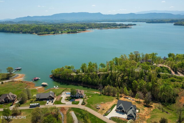 154 Scenic Shores Dr, Dandridge, TN 37725 - photo 6