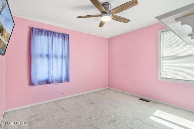 carpeted empty room with visible vents, a ceiling fan, and ornamental molding