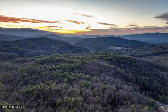 1898 Kennedy Way, Del Rio, TN 37727 - view of mountain background with a forest
