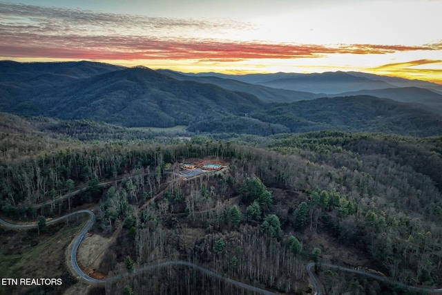 1898 Kennedy Way, Del Rio, TN 37727 - view of mountain backdrop featuring a forest