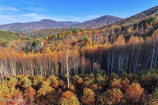 1898 Kennedy Way, Del Rio, TN 37727 - view of mountain backdrop with a forest