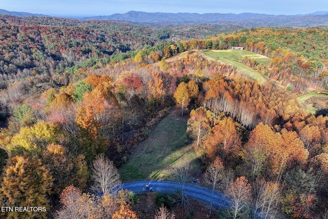 1898 Kennedy Way, Del Rio, TN 37727 - aerial view of a forest and mountains