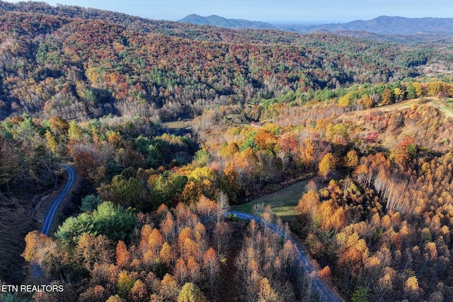 1898 Kennedy Way, Del Rio, TN 37727 - aerial overview of property's location with a forest and a mountainous background