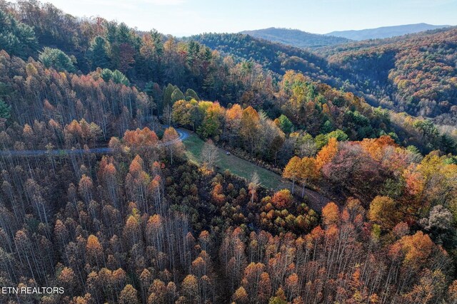 1898 Kennedy Way, Del Rio, TN 37727 - aerial view of property's location with a forest and mountains