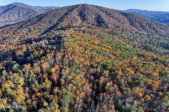 1898 Kennedy Way, Del Rio, TN 37727 - view of mountain backdrop featuring a forest
