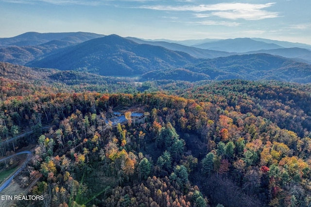 1898 Kennedy Way, Del Rio, TN 37727 - mountain view featuring a heavily wooded area