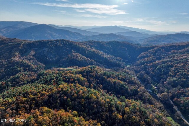 1898 Kennedy Way, Del Rio, TN 37727 - mountain view with a forest