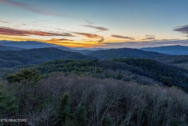 1898 Kennedy Way, Del Rio, TN 37727 - view of mountain backdrop with a forest