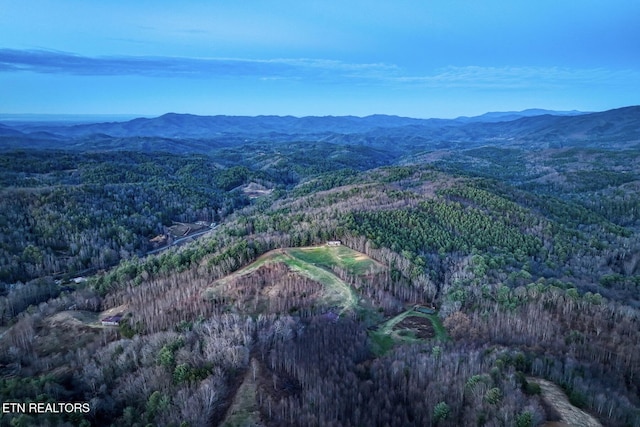 1898 Kennedy Way, Del Rio, TN 37727 - aerial overview of property's location with a forest and mountains
