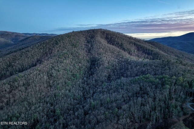 1898 Kennedy Way, Del Rio, TN 37727 - view of mountain background with a forest