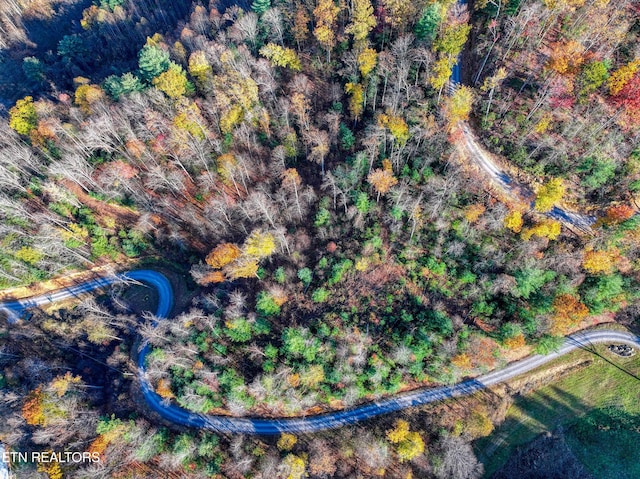 1898 Kennedy Way, Del Rio, TN 37727 - bird's eye view
