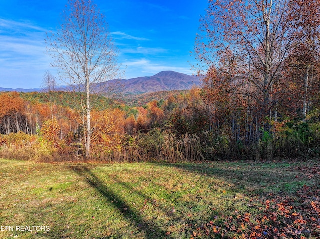 1898 Kennedy Way, Del Rio, TN 37727 - view of mountain background with a forest