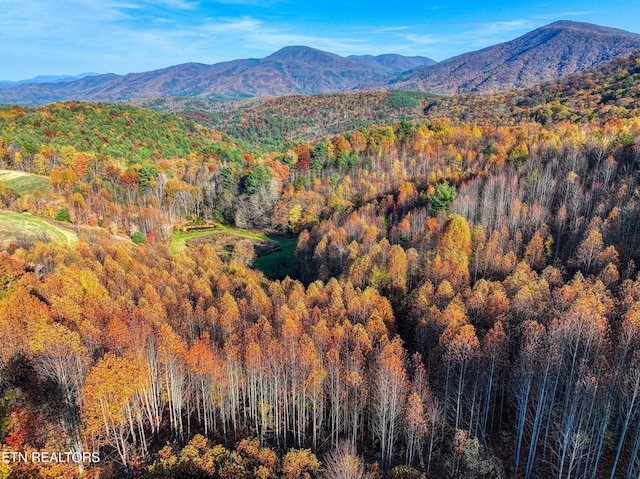 1898 Kennedy Way, Del Rio, TN 37727 - mountain view with a heavily wooded area