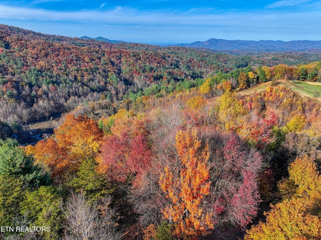 1898 Kennedy Way, Del Rio, TN 37727 - drone / aerial view of a heavily wooded area and mountains