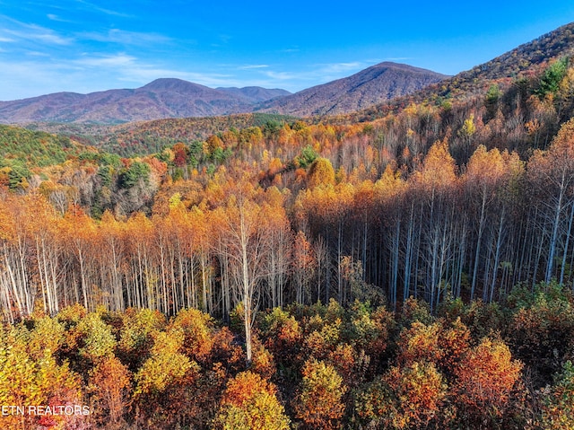 1898 Kennedy Way, Del Rio, TN 37727 - mountain view with a heavily wooded area