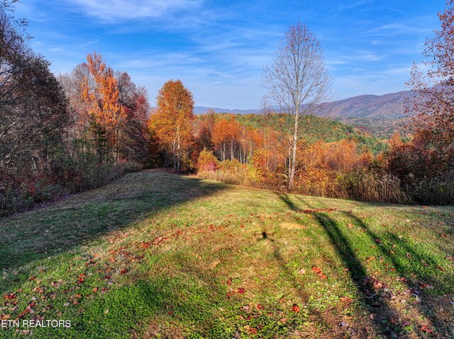 1898 Kennedy Way, Del Rio, TN 37727 - view of grassy yard with a wooded view