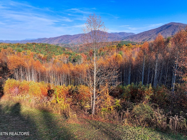 1898 Kennedy Way, Del Rio, TN 37727 - mountain view with a forest