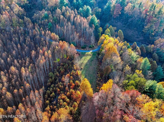 1898 Kennedy Way, Del Rio, TN 37727 - bird's eye view of a heavily wooded area