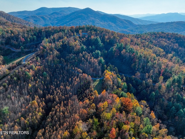 1898 Kennedy Way, Del Rio, TN 37727 - view of mountain background featuring a forest