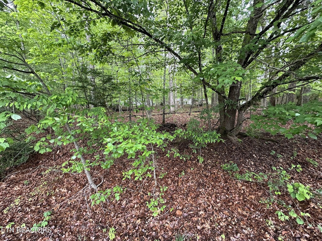 114 Shore Ln, Fairfield Glade, TN 38558