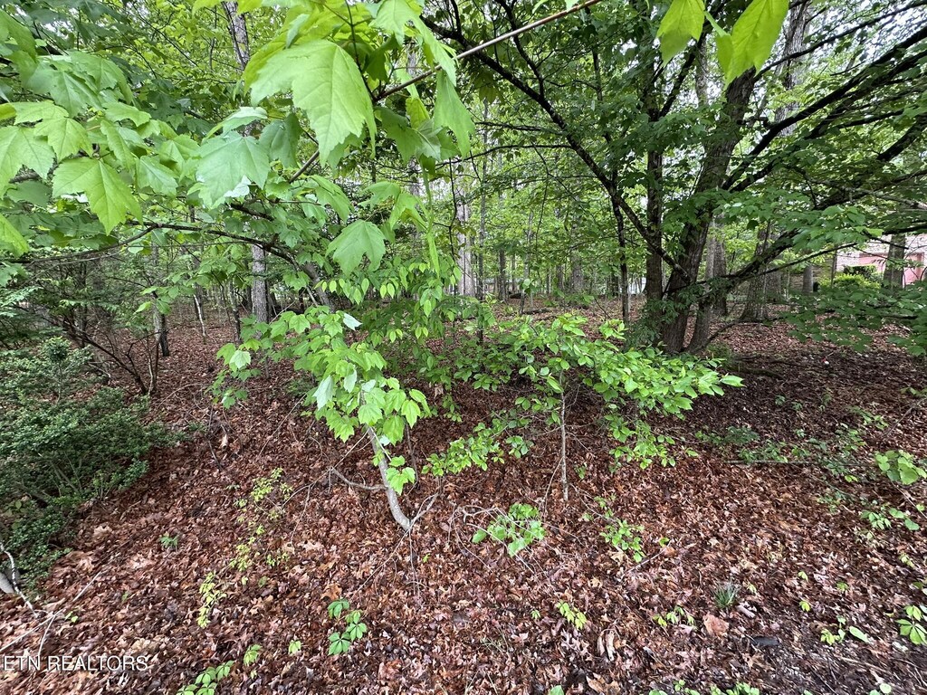 114 Shore Ln, Fairfield Glade, TN 38558