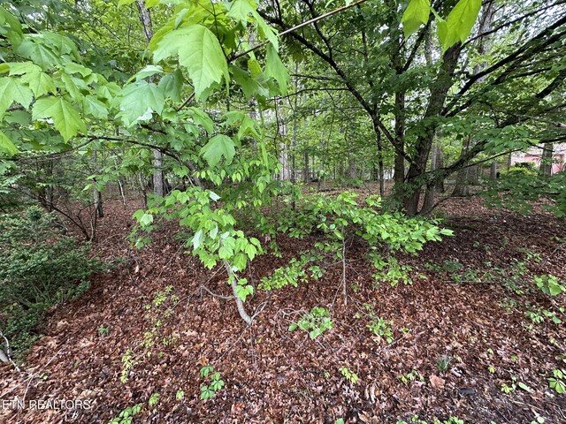 114 Shore Ln, Fairfield Glade, TN 38558