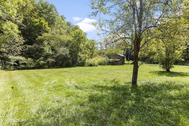 2670 Looney Rd, Parrottsville, TN 37843 - photo 35