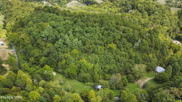 2670 Looney Rd, Parrottsville, TN 37843 - photo 37