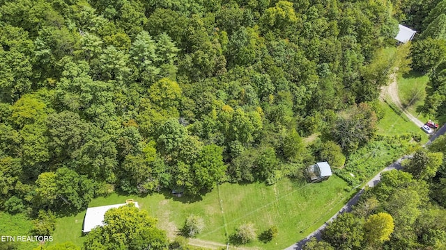 2670 Looney Rd, Parrottsville, TN 37843 - photo 38