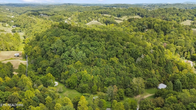 2670 Looney Rd, Parrottsville, TN 37843 - photo 39