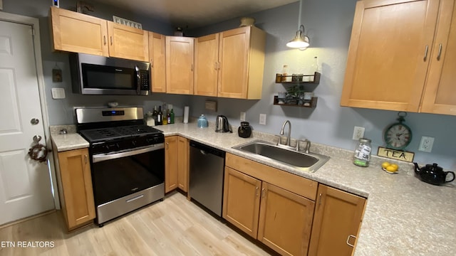 2670 Looney Rd, Parrottsville, TN 37843 - photo 5